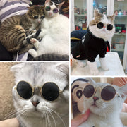 ペット用サングラス 猫用サングラス 猫用メガネ ペットメガネ ペット眼鏡 丸眼鏡 ペットグッズ ネコ用 超小型犬用 子犬用 アクセサリー 小物 面白い おしゃれ 日焼け対策 保護 ファッション