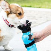 ペット用給水ボトル ペット用給水器 ウォーターボトル 500ml 犬用 猫用 携帯水筒 飲み口付き ペット用品 ペットグッズ 持ち運び コンパクト 便利グッズ お散歩グッズ ポータブル お出かけ ドッグ キャット シンプル カジュアル 青 灰 ピンク
