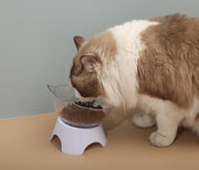 フードボウル ウォーターボウル エサ入れ エサ皿 ネコ耳 ペット用品 猫用 犬用 イヌ ネコ ご飯 餌皿 食器 置き型 お水 フードボール 傾斜 かわいい
