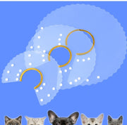 エリザベスカラー ペット用 犬 猫 イヌ ネコ 術後 術後ウェア クリア 舐め防止 シンプル 定番 傷舐め 傷口 ひっかき 防止 ケア ペットグッズ