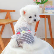 犬用サニタリーパンツ 生理パンツ 月経パンツ ペット用 犬用 おむつカバー マナーパンツ フリル チェック柄 レース お出かけ 散歩 かわいい