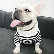 ペットウェア トレーナー 裏毛 犬服 猫服 ドッグウェア 洋服 ボーダー柄 プルオーバー 袖リブ スウェット 小型犬 中型犬 かわいい