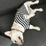 ペットウェア トレーナー 裏毛 犬服 猫服 ドッグウェア 洋服 ボーダー柄 プルオーバー 袖リブ スウェット 小型犬 中型犬 かわいい