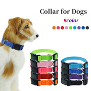 首輪 カラー くびわ ワンタッチバックル ペットグッズ ペット用品 犬用 猫用 イヌ ネコ 小型犬 中型犬 大型犬 ナイロン お散歩 シンプル カラバリ豊富
