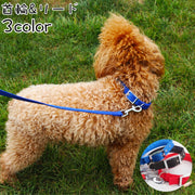 首輪 リード 2点セット 犬用 猫用 ペット用品 お散歩グッズ 散歩紐 カラー リーシュ シンプル ワンカラー レッド ピンク ブルー かわいい おしゃれ かっこいい いぬ イヌ ねこ ネコ お出かけ 公園