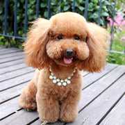 ペット用チョーカー ネックレス 犬 猫 イヌ ネコ アクセサリー 首飾り フェイクパール チェーン 上品 エレガント 高級感 かわいい おしゃれ ペットグッズ ペット用品
