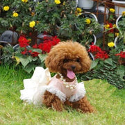 ペット用チョーカー ネックレス 犬 猫 イヌ ネコ アクセサリー 首飾り フェイクパール チェーン 上品 エレガント 高級感 かわいい おしゃれ ペットグッズ ペット用品