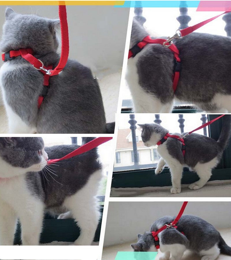リード ハーネス 2点セット 猫用 ペットグッズ ペット用品 商品画像2