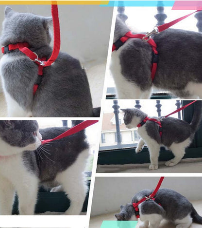 リード ハーネス 2点セット 猫用 ペットグッズ ペット用品 商品画像2