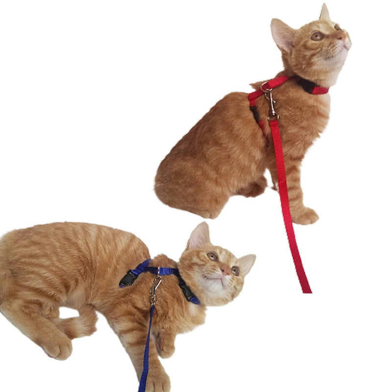 リード ハーネス 2点セット 猫用 ペットグッズ ペット用品 商品画像3