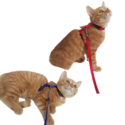 リード ハーネス 2点セット 猫用 ペットグッズ ペット用品 商品画像3
