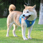 犬用ハーネス リードセット ペット用 リーシュ ワンちゃん用 胴輪 反射材付き 胸当て ベスト 小型犬 中型犬 お散歩 お出掛け いぬ用 イヌ用 DOG ドッグウェア ドッグウエア