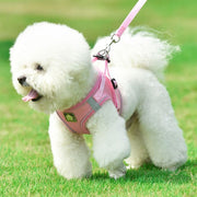 犬用ハーネス リードセット ペット用 リーシュ ワンちゃん用 胴輪 反射材付き 胸当て ベスト 小型犬 中型犬 お散歩 お出掛け いぬ用 イヌ用 DOG ドッグウェア ドッグウエア