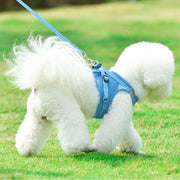 犬用ハーネス リードセット ペット用 リーシュ ワンちゃん用 胴輪 反射材付き 胸当て ベスト 小型犬 中型犬 お散歩 お出掛け いぬ用 イヌ用 DOG ドッグウェア ドッグウエア