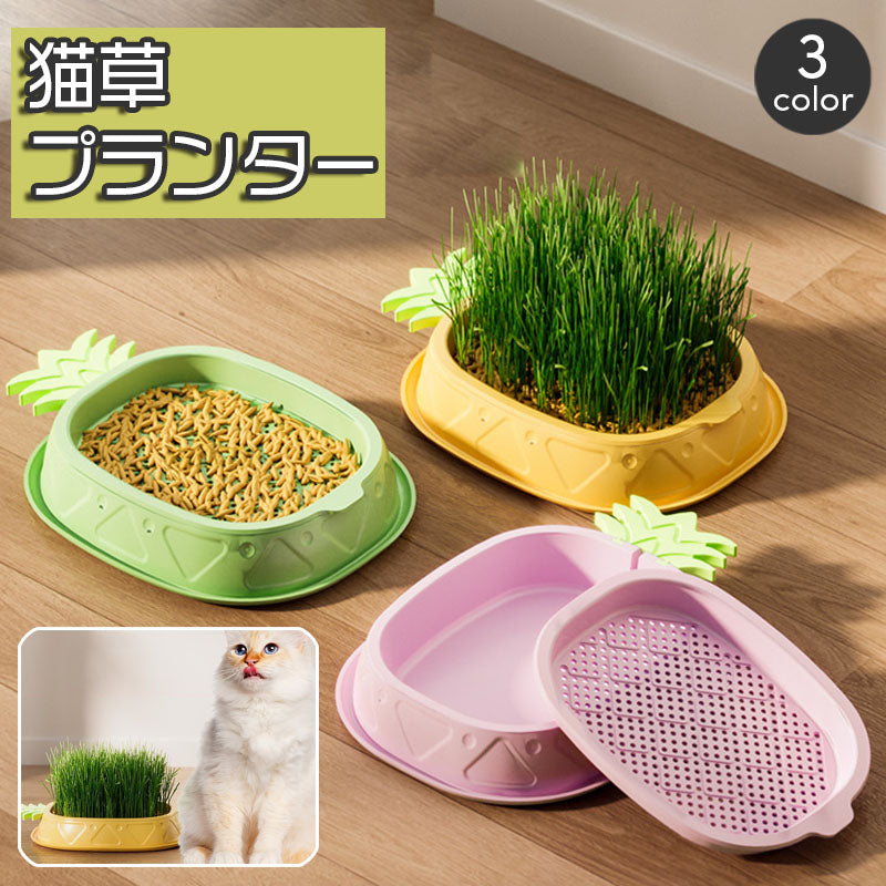 猫草プランター パイナップル 猫草ポット 猫草ボックス 容器 水耕栽培 おしゃれ かわいい ネコ ねこ キャット くさ 育てる トレイ 簡単 便利 ペット用品