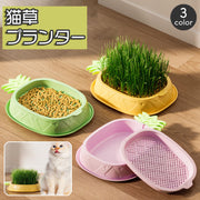 猫草プランター パイナップル 猫草ポット 猫草ボックス 容器 水耕栽培 おしゃれ かわいい ネコ ねこ キャット くさ 育てる トレイ 簡単 便利 ペット用品