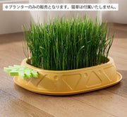 猫草プランター パイナップル 猫草ポット 猫草ボックス 容器 水耕栽培 おしゃれ かわいい ネコ ねこ キャット くさ 育てる トレイ 簡単 便利 ペット用品