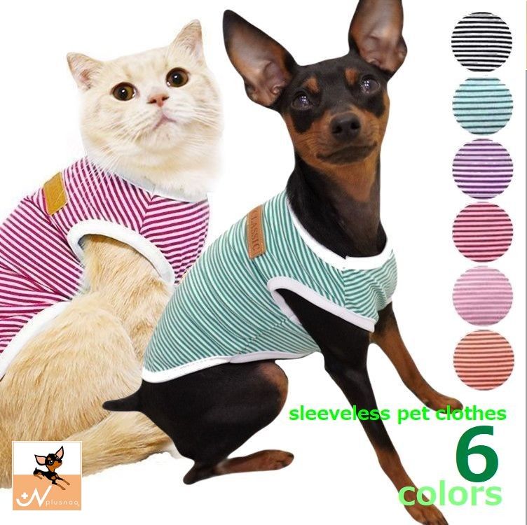 ペット服 タンクトップ 犬 猫 ボーダー パイピング 商品画像