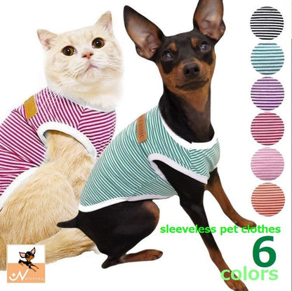 ペット服 タンクトップ 犬 猫 ボーダー パイピング 商品画像