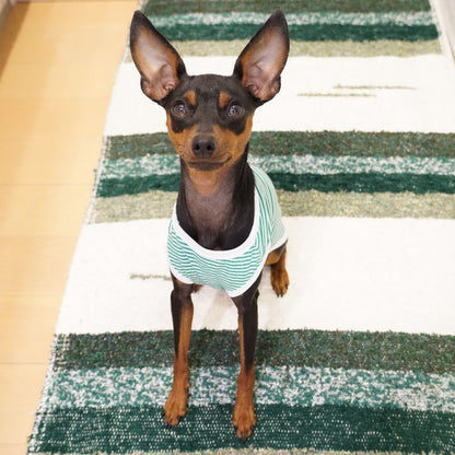ペット服 タンクトップ 犬 猫 ボーダー パイピング 商品画像2