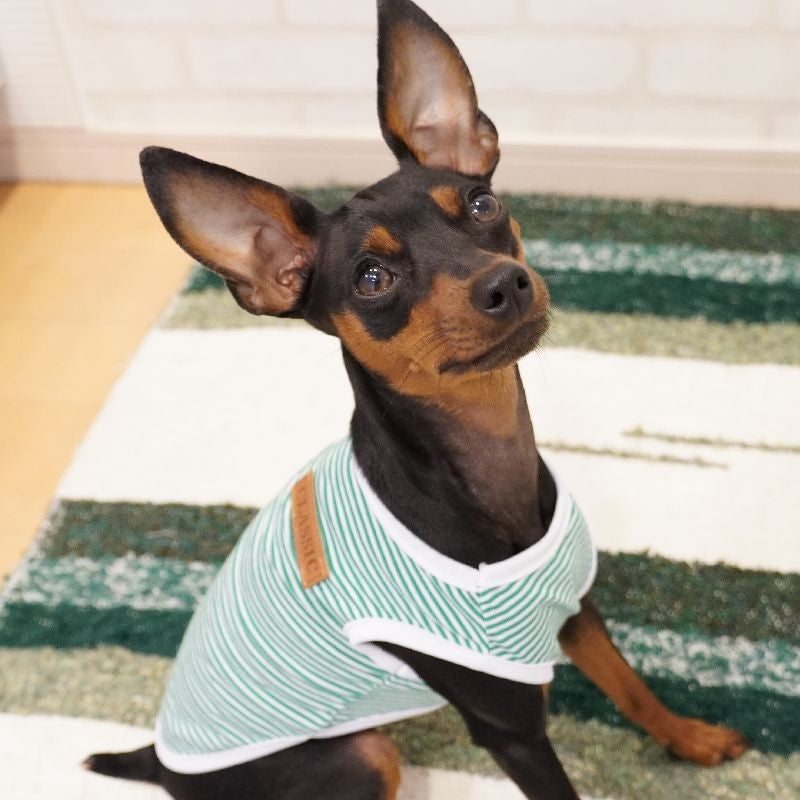 ペット服 タンクトップ 犬 猫 ボーダー パイピング 商品画像3