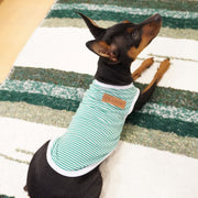 ペット服 タンクトップ 犬 猫 ボーダー パイピング ノースリーブ 袖なし ドッグウエア キャットウエア お散歩 お出掛け 春 夏 小型犬 黒 赤 ピンク オレンジ 緑 紫