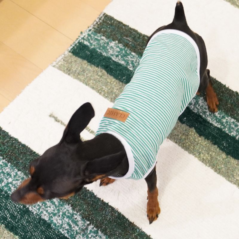 ペット服 タンクトップ 犬 猫 ボーダー パイピング 商品画像5