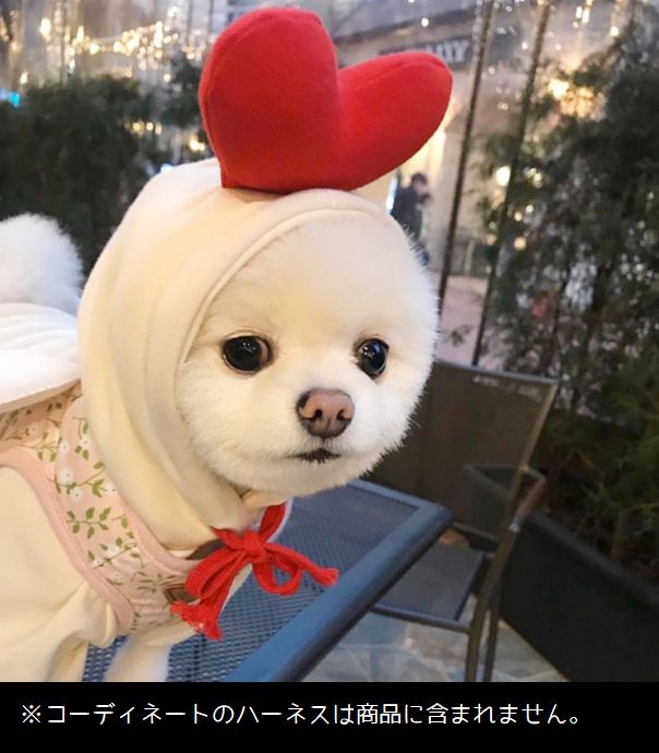ペット用コスチューム コスプレ 犬用 わんちゃん ドッグウェア 犬服 商品画像5