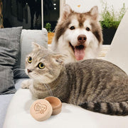 遺毛ケース ペット 犬 猫 小動物 遺毛入れ 毛 保管 メモリアルグッズ 木製 ハート 無地 ラウンド型 可愛い ペットグッズ