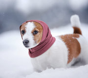 ペット用スヌード ペット用品 ペットグッズ 犬用 猫用 イヌ用 ネコ用 イヤーマフ イヤーカバー 耳カバー 被り物 耳汚れ防止 騒音軽減 無地 シンプル グルーミング 防寒 寒さ対策 散歩