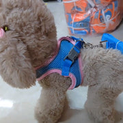 ハーネス リード 2点セット 犬用 猫用 ペット用品 小型犬 中型犬 胴輪 メッシュ 反射材付き お散歩 お出かけ 無地 バイカラー シンプル いぬ ねこ