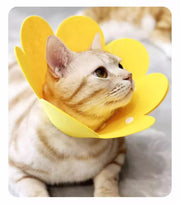エリザベスカラー 猫 ネコ 犬 イヌ ペット用品 舐め防止 引っかき 傷口保護 調節可能 怪我 ケア用品 スナップボタン