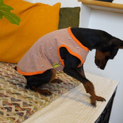 ドッグウエア タンクトップ 犬服 猫服 袖なし ノースリーブ ペット服 犬 猫 小型犬 プリント 柄 花柄 お散歩 お出掛け ペット用品 春 夏