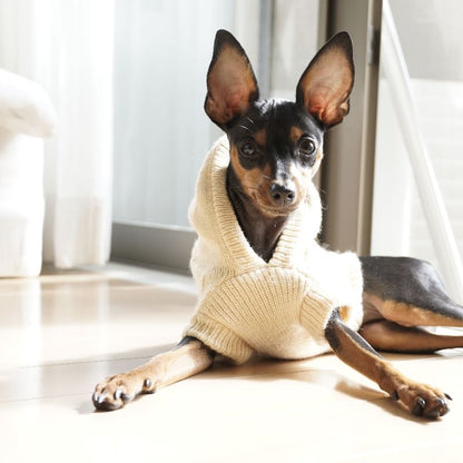 ペット服 犬 猫 ニット セーター 小型犬 商品画像4
