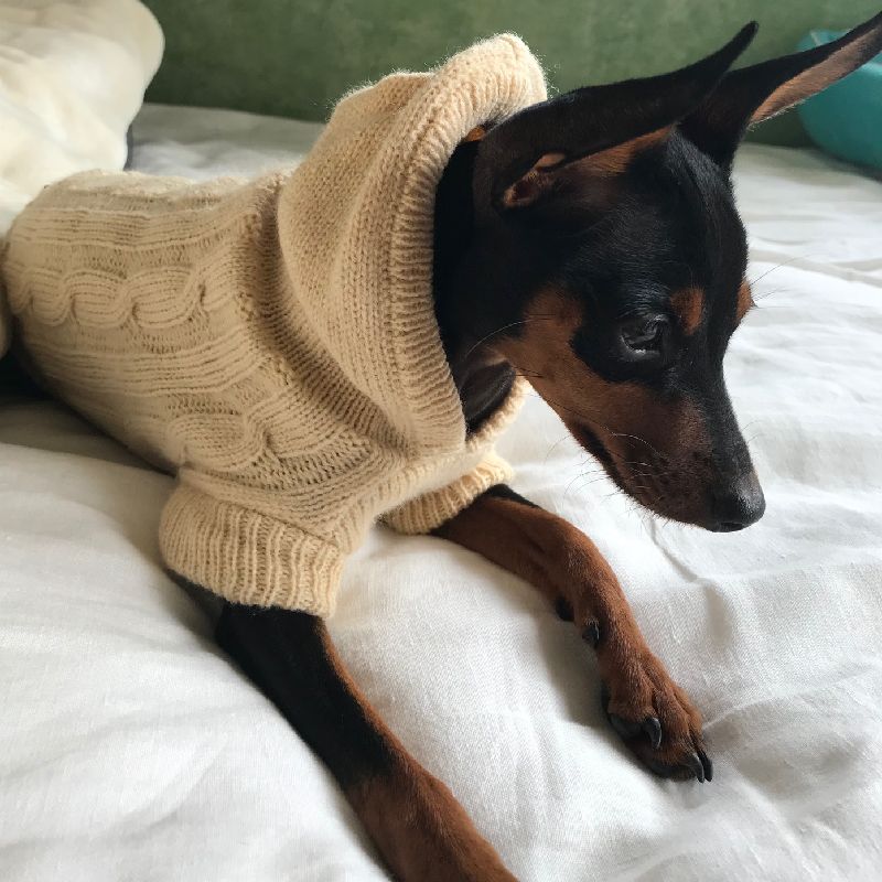 ペット服 犬 猫 ニット セーター 小型犬 商品画像5