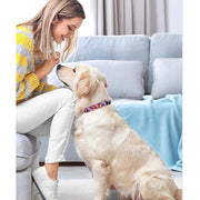 首輪 カラー ペットグッズ ペット用品 犬用 猫用 小型犬 中型犬 大型犬 お散歩グッズ お出かけ プリント ペイズリー スイカ 北欧系 シロクマ おしゃれ かわいい いぬ