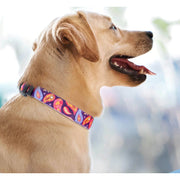 首輪 カラー ペットグッズ ペット用品 犬用 猫用 小型犬 中型犬 大型犬 お散歩グッズ お出かけ プリント ペイズリー スイカ 北欧系 シロクマ おしゃれ かわいい いぬ