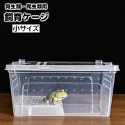 飼育ケージ 飼育ケース 両生類用 爬虫類用 クリアケース プラケース 透明 カメ 亀 カエル 水槽 浮島 日向ぼっこ台 テラス 陸地 長方形 シンプル 通気口 ペット用品