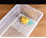 飼育ケージ 飼育ケース 両生類用 爬虫類用 クリアケース プラケース 透明 カメ 亀 カエル 水槽 浮島 日向ぼっこ台 テラス 陸地 長方形 シンプル 通気口 ペット用品