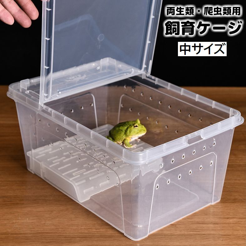 飼育ケージ 飼育ケース 両生類用 爬虫類用 クリアケース プラケース 透明 カメ 亀 カエル 水槽 浮島 日向ぼっこ台 テラス 陸地 長方形 シンプル 通気口 ペット用品