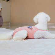 サニタリーパンツ マナーパンツ ペット用 犬用 ネコ用 マナーガード ロンパース キャミソール お漏らし防止 トイレ用品 星柄 スター ストライプ