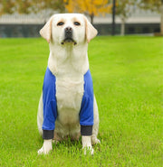 犬用サポーター ペット用 肘 両足 前足 サポート 対策 保護 固定 傷舐め防止 老犬介護 犬足保護 床ずれ防止 レッグガード ペット用品 ペットグッズ