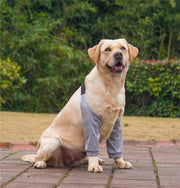 犬用サポーター ペット用 肘 両足 前足 サポート 対策 保護 固定 傷舐め防止 老犬介護 犬足保護 床ずれ防止 レッグガード ペット用品 ペットグッズ