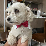 ペット用スタイ よだれかけ 付け襟 蝶ネクタイ ペット用アクセサリー 犬 イヌ 猫 ネコ 面ファスナー 結婚式 お呼ばれ パーティー 正装 誕生日 おめかし マジック テープ キュート お洒落 可愛い ペットグッズ ペット用品