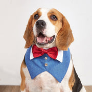 ペット用スタイ よだれかけ 付け襟 蝶ネクタイ ペット用アクセサリー 犬 イヌ 猫 ネコ 面ファスナー 結婚式 お呼ばれ パーティー 正装 誕生日 おめかし マジック テープ キュート お洒落 可愛い ペットグッズ ペット用品