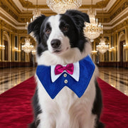 ペット用スタイ よだれかけ 付け襟 蝶ネクタイ ペット用アクセサリー 犬 イヌ 猫 ネコ 面ファスナー 結婚式 お呼ばれ パーティー 正装 誕生日 おめかし マジック テープ キュート お洒落 可愛い ペットグッズ ペット用品