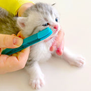 アイクリーナー ペット用 ソフトブラシ 目やに取り 猫 ネコ 犬 イヌ ペット用品 ケアグッズ 挟める ピンセット型 目元ケア お手入れ 柔らかい コンパクト