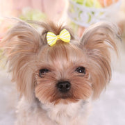 ペット用アクセサリー ヘアアクセ ヘアクリップ 犬用 猫用 小動物 ヘアピン リボン ボーダー 小型犬 中型犬 かわいい ミニサイズ キュート おしゃれ ペット用品 ペットグッズ わんちゃん ねこちゃん