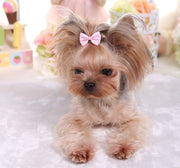 ペット用アクセサリー ヘアアクセ ヘアクリップ 犬用 猫用 小動物 ヘアピン リボン ボーダー 小型犬 中型犬 かわいい ミニサイズ キュート おしゃれ ペット用品 ペットグッズ わんちゃん ねこちゃん