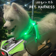 ハーネス 胴輪 単品 ペット用品 ペットグッズ 犬 猫 イヌ ネコ 光る 胸当て 小型犬 中型犬 USB充電式 カラフル レインボーカラー サイズ調節可 バックル ロック付き 反射材 ラインストーン 着脱簡単 シンプル カジュアル 夜間 防犯対策 持ち手付き お出かけ お散歩 赤 緑 ピンク 青
